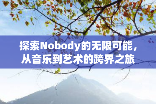 探索Nobody的无限可能，从音乐到艺术的跨界之旅