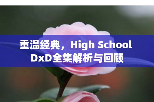重温经典，High School DxD全集解析与回顾