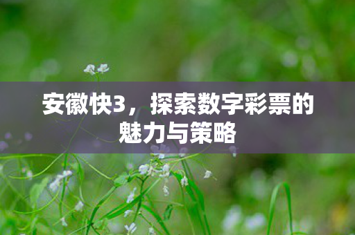 安徽快3,探索数字彩票的魅力与策略 安徽快3,探索数字彩票的魅力与策略