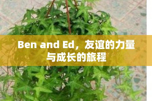 Ben and Ed，友谊的力量与成长的旅程