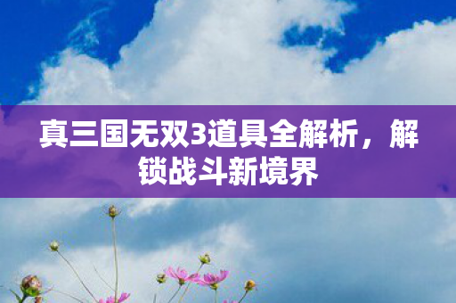 真三国无双3道具全解析，解锁战斗新境界