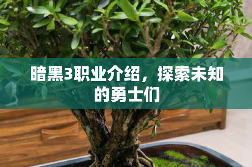 暗黑3职业介绍，探索未知的勇士们