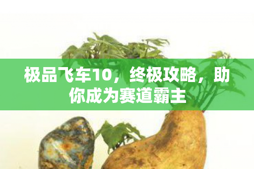 极品飞车10，终极攻略，助你成为赛道霸主