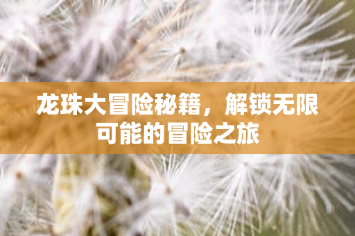 龙珠大冒险秘籍,解锁无限可能的冒险之旅 龙珠大冒险秘籍,解锁无限可能的冒险之旅