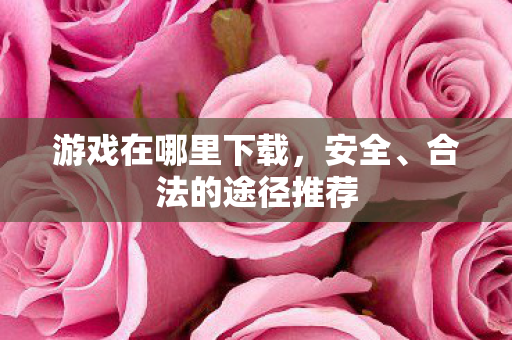 游戏在哪里下载，安全、合法的途径推荐