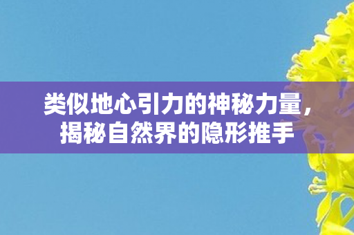 类似地心引力的神秘力量,揭秘自然界的隐形推手 类似地心引力的神秘力量,揭秘自然界的隐形推手