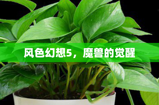 风色幻想5，魔兽的觉醒