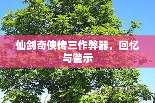仙剑奇侠传三作弊器，回忆与警示