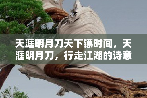 天涯明月刀天下镖时间，天涯明月刀，行走江湖的诗意与豪情