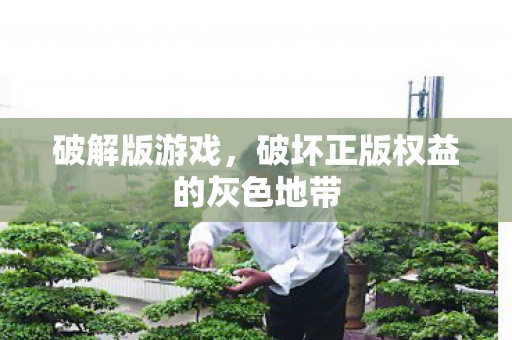 破解版游戏，破坏正版权益的灰色地带