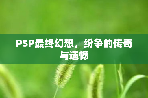PSP最终幻想，纷争的传奇与遗憾