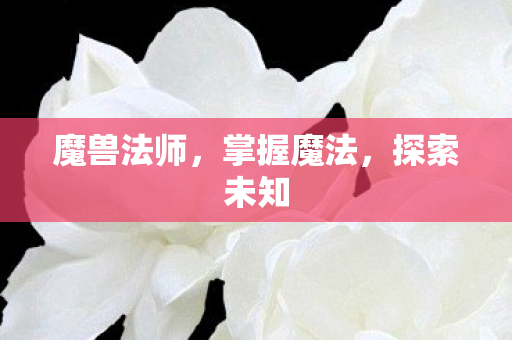 魔兽法师，掌握魔法，探索未知