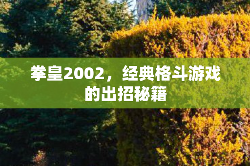 拳皇2002，经典格斗游戏的出招秘籍