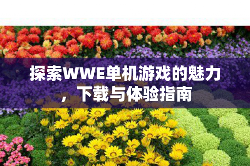 探索WWE单机游戏的魅力，下载与体验指南