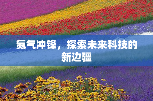 氮气冲锋,探索未来科技的新边疆 氮气冲锋,探索未来科技的新边疆