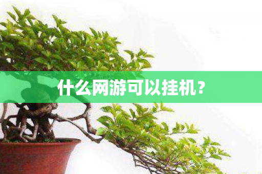 什么网游可以挂机？