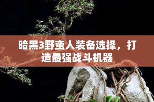 暗黑3野蛮人装备选择，打造最强战斗机器