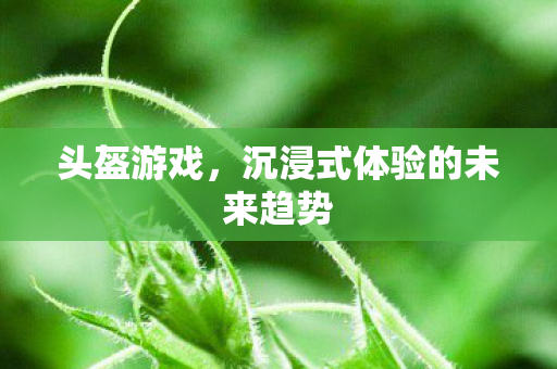 头盔游戏，沉浸式体验的未来趋势