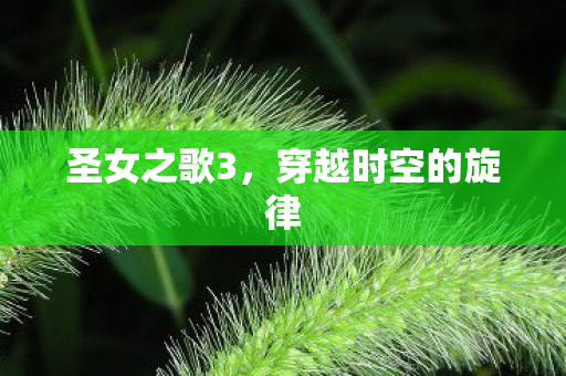 圣女之歌3，穿越时空的旋律