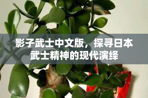 影子武士中文版，探寻日本武士精神的现代演绎