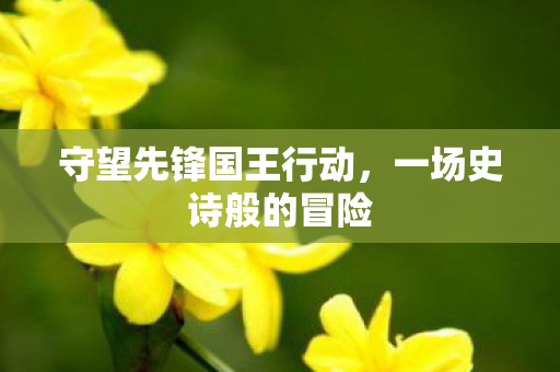 守望先锋国王行动，一场史诗般的冒险