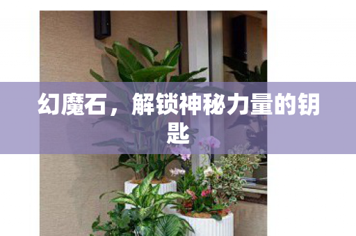 幻魔石，解锁神秘力量的钥匙