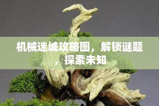 机械迷城攻略图，解锁谜题，探索未知