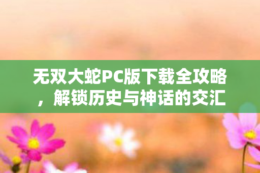 无双大蛇PC版下载全攻略，解锁历史与神话的交汇