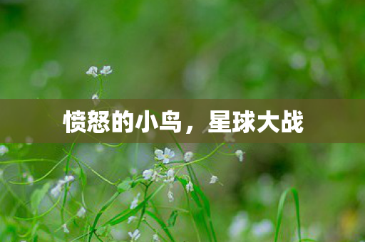 愤怒的小鸟图片