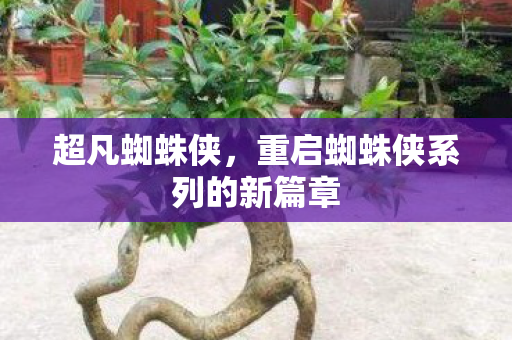 超凡蜘蛛侠，重启蜘蛛侠系列的新篇章