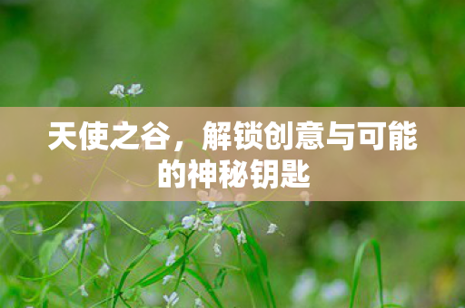 天使之谷，解锁创意与可能的神秘钥匙