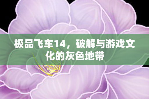 破解与游戏文化的灰色地带图片