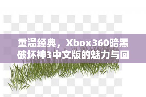 重温经典，Xbox360暗黑破坏神3中文版的魅力与回忆