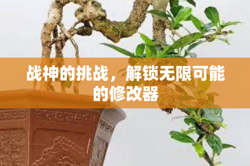 战神的挑战，解锁无限可能的修改器