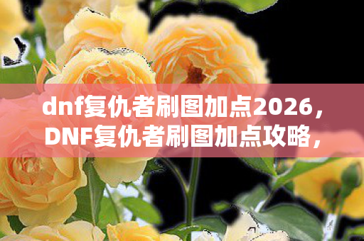 dnf复仇者刷图加点2026，DNF复仇者刷图加点攻略，打造高效战斗力的关键