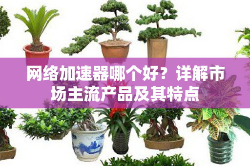 网络加速器哪个好？详解市场主流产品及其特点