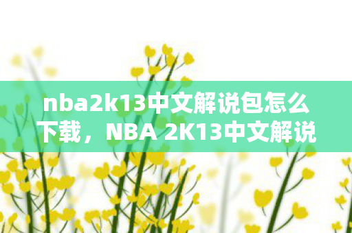 nba2k13中文解说包怎么下载，NBA 2K13中文解说补丁下载指南