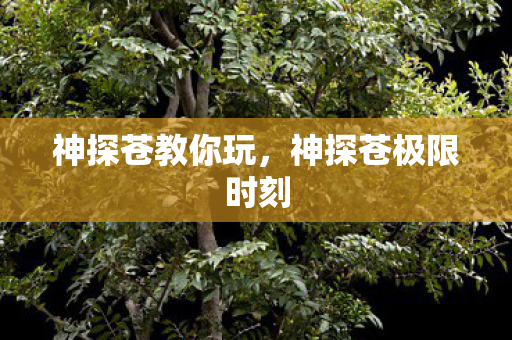 神探苍教你玩，神探苍极限时刻