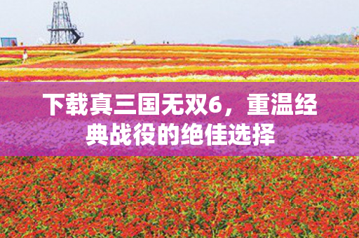 下载真三国无双6，重温经典战役的绝佳选择