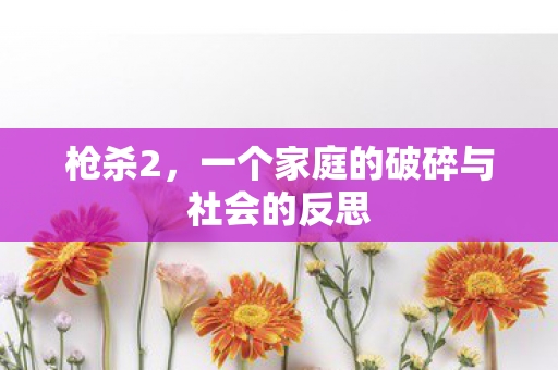 枪杀2,一个家庭的破碎与社会的反思 枪杀2,一个家庭的破碎与社会的反思