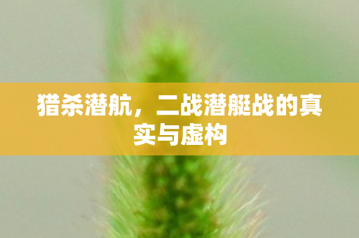 猎杀潜航，二战潜艇战的真实与虚构