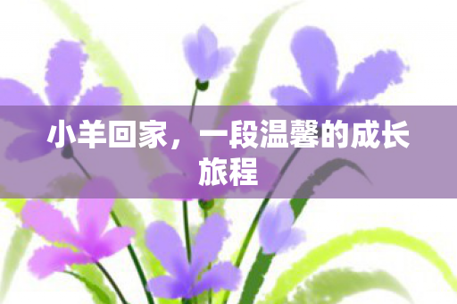 小羊回家，一段温馨的成长旅程