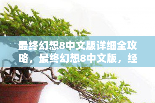 最终幻想8中文版详细全攻略，最终幻想8中文版，经典游戏的中文魅力
