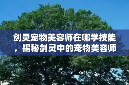 剑灵宠物美容师在哪学技能，揭秘剑灵中的宠物美容师，打造你的专属萌宠！