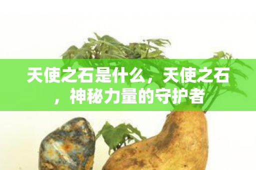 天使之石是什么,天使之石,神秘力量的守护者 天使之石是什么,天使之石,神秘力量的守护者
