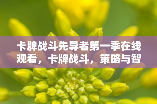 卡牌战斗先导者第一季在线观看，卡牌战斗，策略与智慧的较量