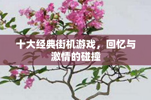 十大经典街机游戏，回忆与激情的碰撞