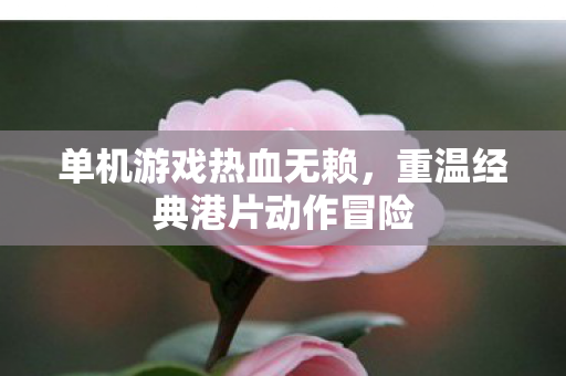 单机游戏热血无赖，重温经典港片动作冒险
