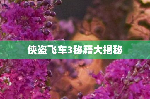 侠盗飞车3秘籍大揭秘
