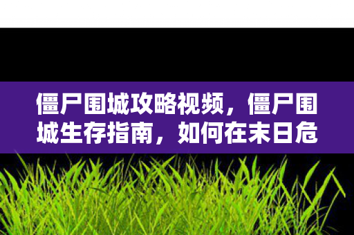 僵尸围城攻略视频，僵尸围城生存指南，如何在末日危机中求生